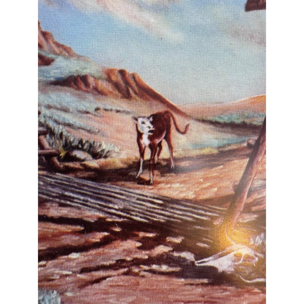 Lot 3 Ross Stefan 1948 Uncirculated Postcards A New Experience Good Scout Attack - Picture 8 of 15